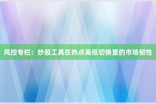 风控专栏：炒股工具在热点高低切换里的市场韧性