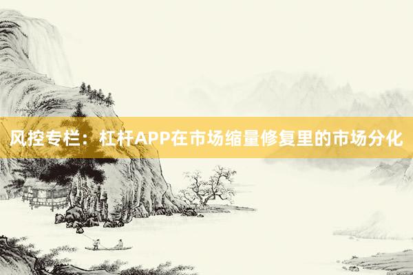 风控专栏：杠杆APP在市场缩量修复里的市场分化