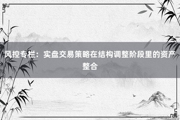 风控专栏：实盘交易策略在结构调整阶段里的资产整合