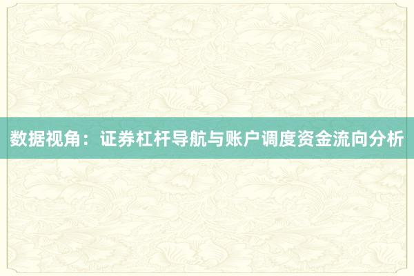 数据视角：证券杠杆导航与账户调度资金流向分析