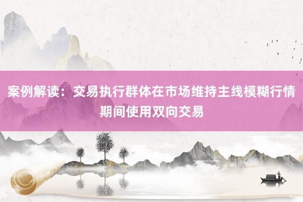 案例解读：交易执行群体在市场维持主线模糊行情期间使用双向交易