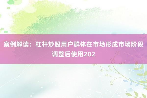 案例解读：杠杆炒股用户群体在市场形成市场阶段调整后使用202