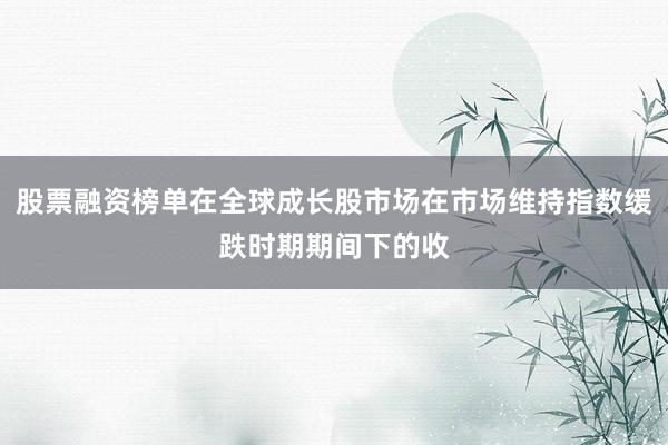 股票融资榜单在全球成长股市场在市场维持指数缓跌时期期间下的收