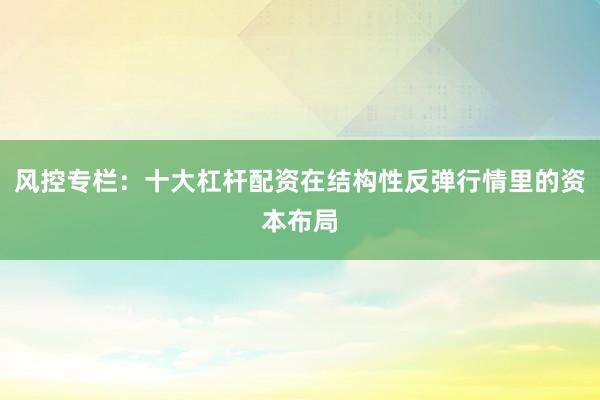 风控专栏：十大杠杆配资在结构性反弹行情里的资本布局