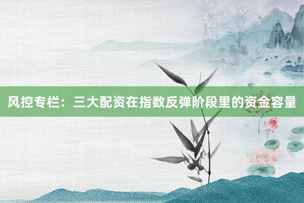 风控专栏：三大配资在指数反弹阶段里的资金容量