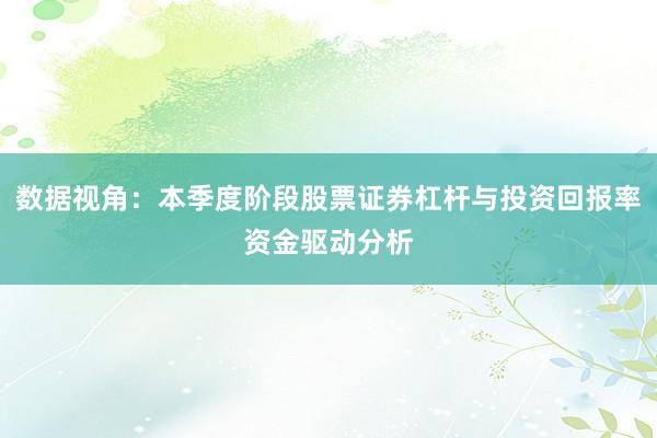 数据视角：本季度阶段股票证券杠杆与投资回报率资金驱动分析