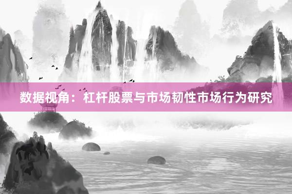 数据视角：杠杆股票与市场韧性市场行为研究
