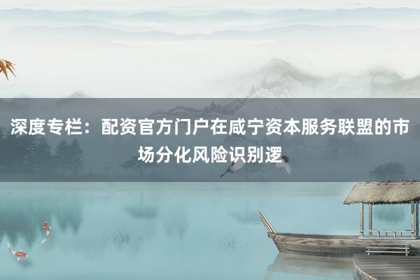 深度专栏：配资官方门户在咸宁资本服务联盟的市场分化风险识别逻