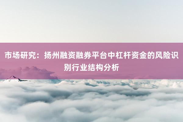 市场研究：扬州融资融券平台中杠杆资金的风险识别行业结构分析