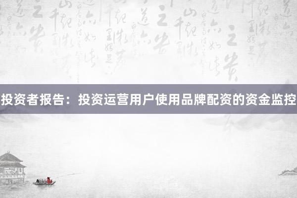 投资者报告：投资运营用户使用品牌配资的资金监控