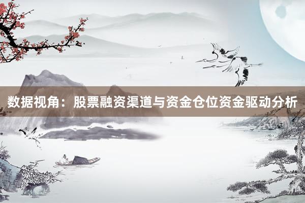 数据视角：股票融资渠道与资金仓位资金驱动分析