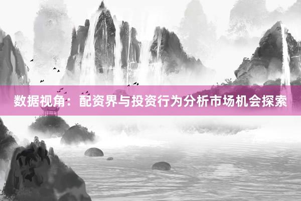 数据视角：配资界与投资行为分析市场机会探索