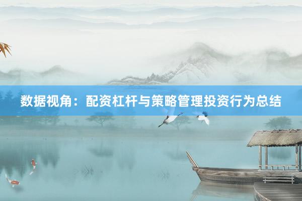 数据视角：配资杠杆与策略管理投资行为总结