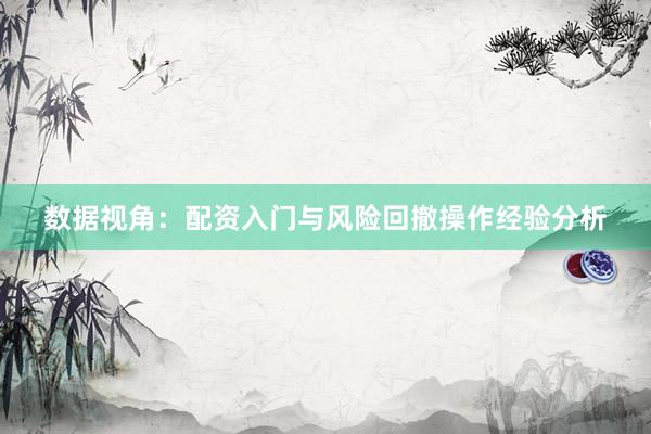 数据视角：配资入门与风险回撤操作经验分析