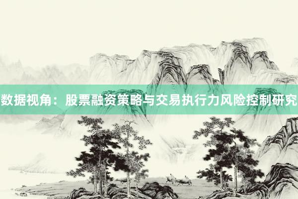 数据视角：股票融资策略与交易执行力风险控制研究