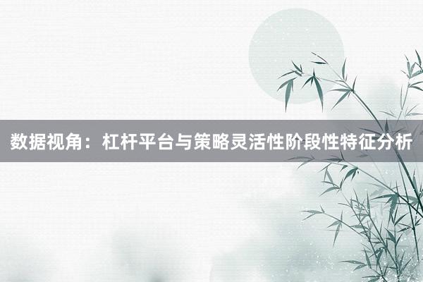 数据视角：杠杆平台与策略灵活性阶段性特征分析