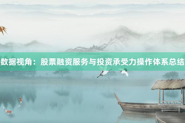 数据视角：股票融资服务与投资承受力操作体系总结