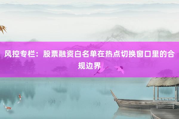 风控专栏：股票融资白名单在热点切换窗口里的合规边界