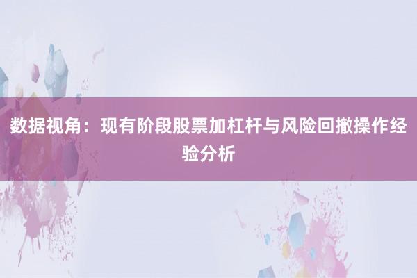 数据视角：现有阶段股票加杠杆与风险回撤操作经验分析