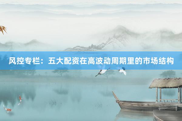 风控专栏：五大配资在高波动周期里的市场结构