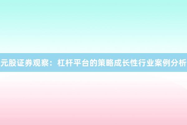 元股证券观察：杠杆平台的策略成长性行业案例分析