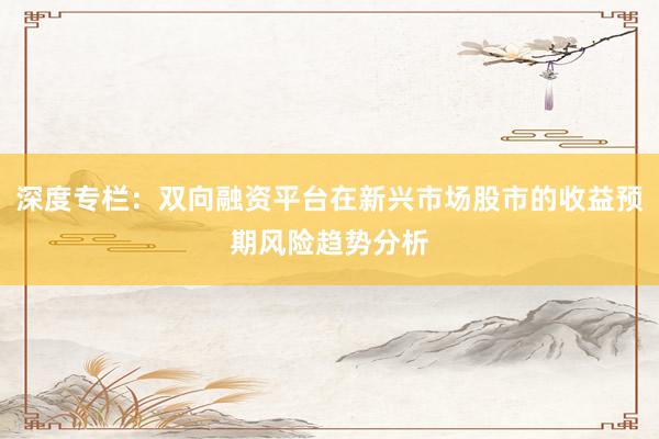 深度专栏：双向融资平台在新兴市场股市的收益预期风险趋势分析