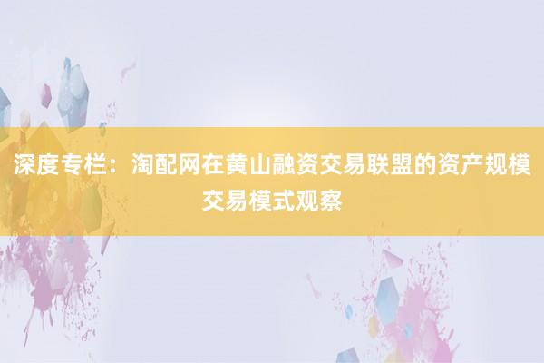 深度专栏：淘配网在黄山融资交易联盟的资产规模交易模式观察