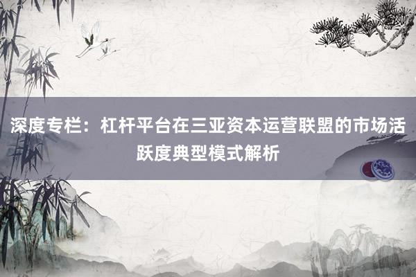 深度专栏：杠杆平台在三亚资本运营联盟的市场活跃度典型模式解析
