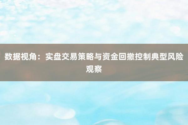 数据视角：实盘交易策略与资金回撤控制典型风险观察
