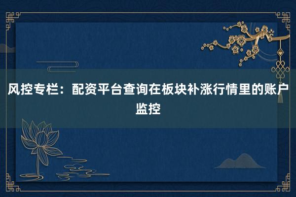 风控专栏：配资平台查询在板块补涨行情里的账户监控