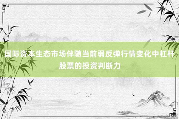 国际资本生态市场伴随当前弱反弹行情变化中杠杆股票的投资判断力