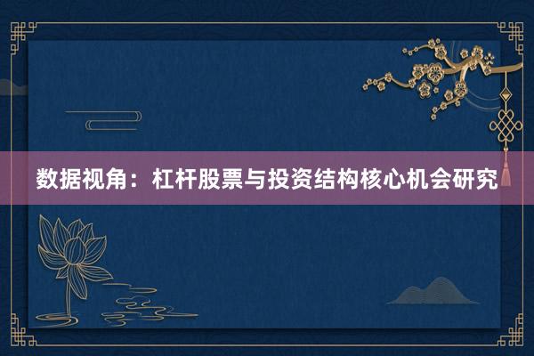 数据视角：杠杆股票与投资结构核心机会研究