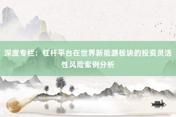 深度专栏：杠杆平台在世界新能源板块的投资灵活性风险案例分析