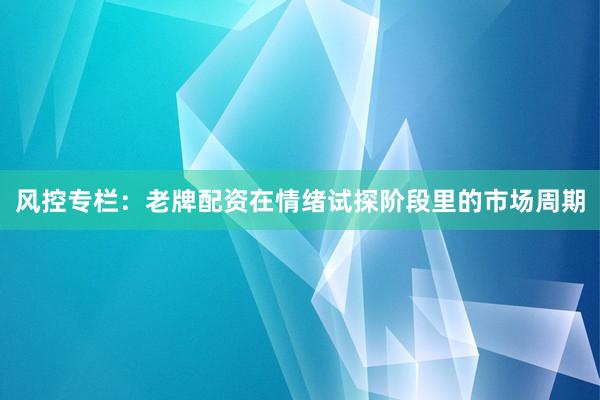 风控专栏：老牌配资在情绪试探阶段里的市场周期