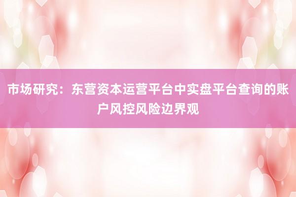 市场研究：东营资本运营平台中实盘平台查询的账户风控风险边界观