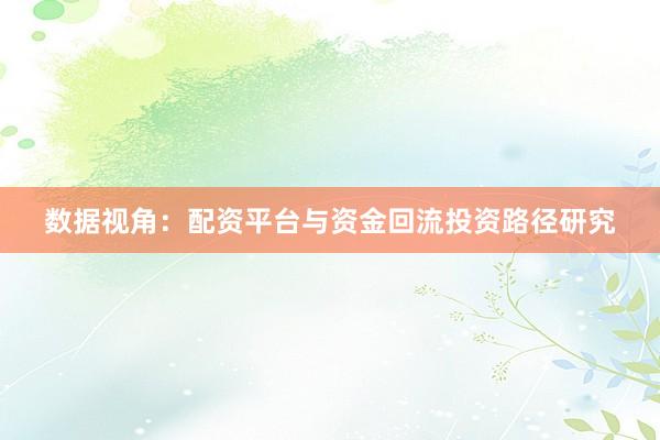 数据视角：配资平台与资金回流投资路径研究