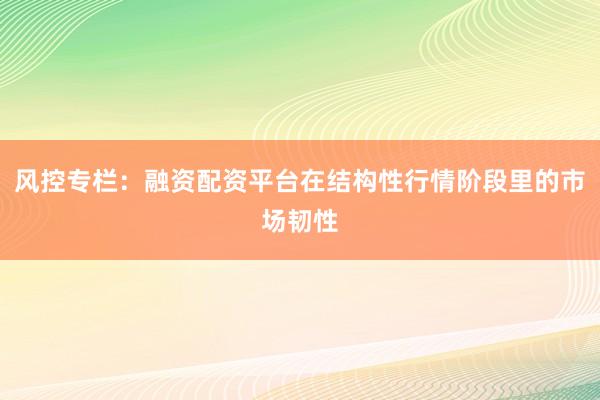 风控专栏:融资配资平台在结构性行情阶段里的市场韧性