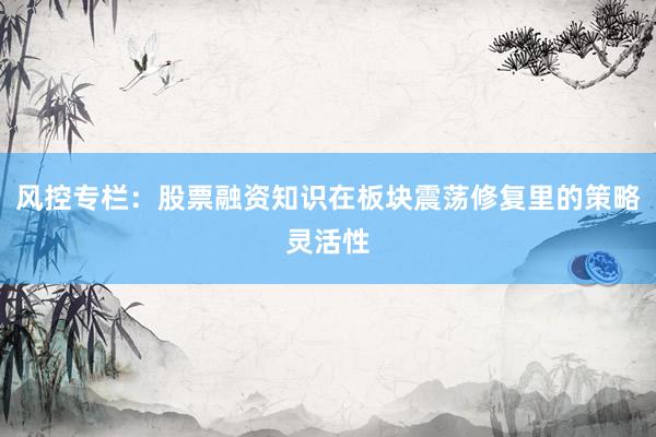 风控专栏：股票融资知识在板块震荡修复里的策略灵活性