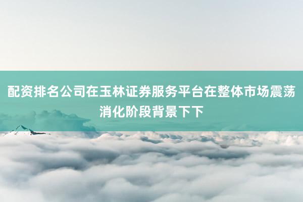 配资排名公司在玉林证券服务平台在整体市场震荡消化阶段背景下下