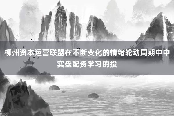 柳州资本运营联盟在不断变化的情绪轮动周期中中实盘配资学习的投