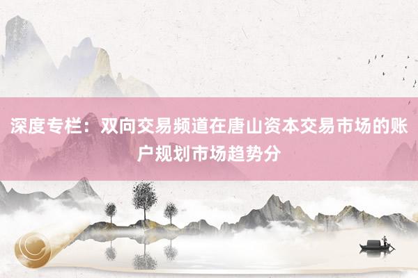 深度专栏：双向交易频道在唐山资本交易市场的账户规划市场趋势分