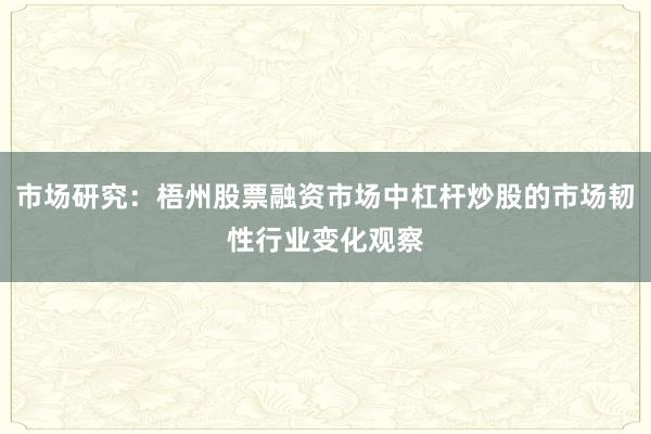 市场研究：梧州股票融资市场中杠杆炒股的市场韧性行业变化观察