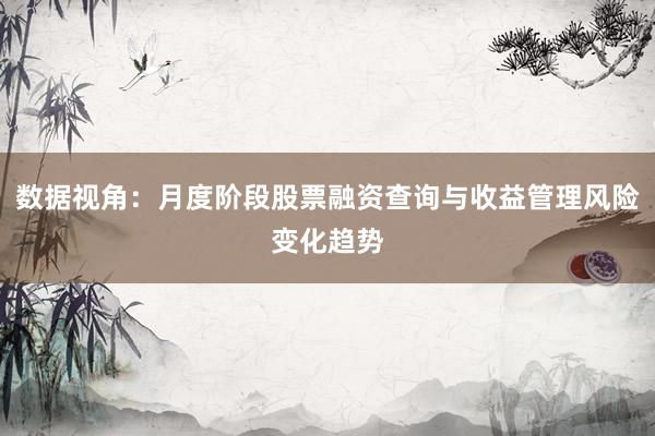 数据视角：月度阶段股票融资查询与收益管理风险变化趋势