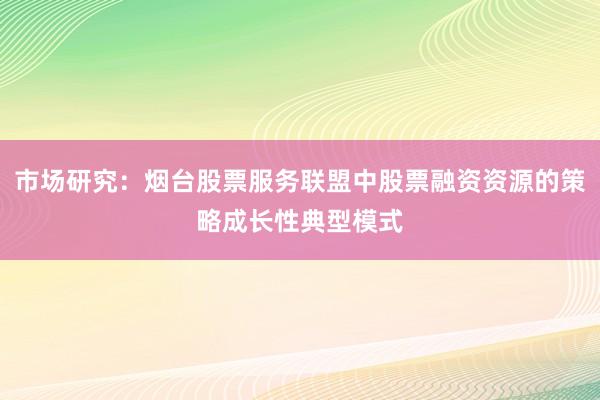 市场研究：烟台股票服务联盟中股票融资资源的策略成长性典型模式