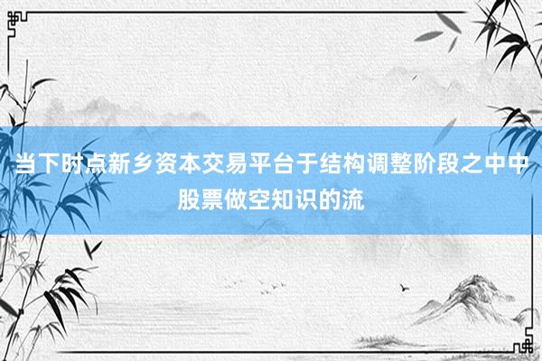 当下时点新乡资本交易平台于结构调整阶段之中中股票做空知识的流