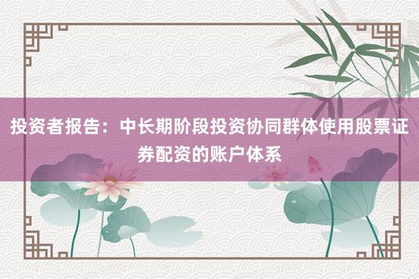 投资者报告：中长期阶段投资协同群体使用股票证券配资的账户体系