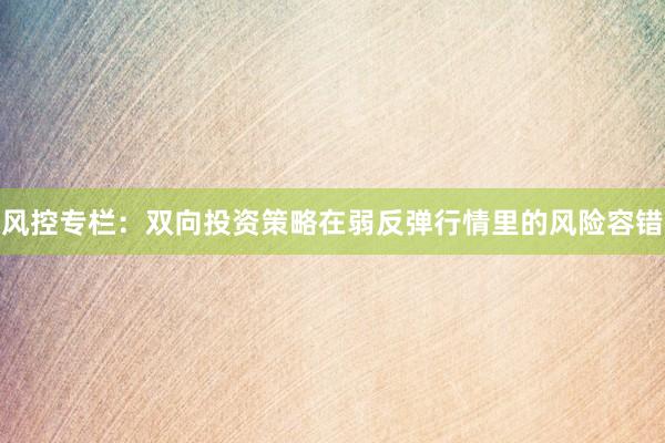 风控专栏：双向投资策略在弱反弹行情里的风险容错