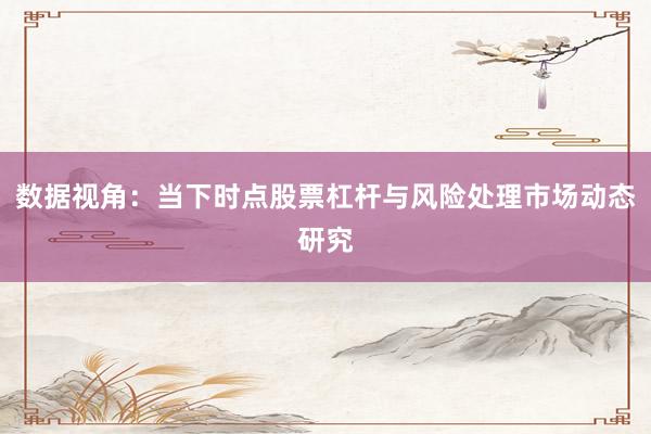 数据视角：当下时点股票杠杆与风险处理市场动态研究