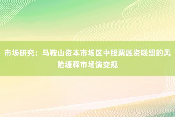 市场研究：马鞍山资本市场区中股票融资联盟的风险缓释市场演变规