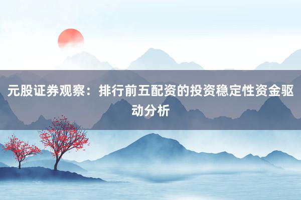 元股证券观察：排行前五配资的投资稳定性资金驱动分析
